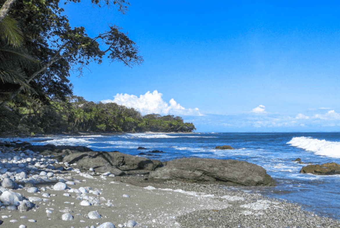 Screenshot 2024-02-28 at 16.41.45-min