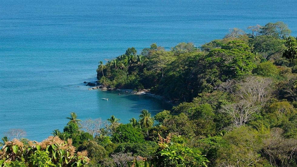 A 69Acre Ocean View Paradise in Cabo Matapalo Real Estate Grupo