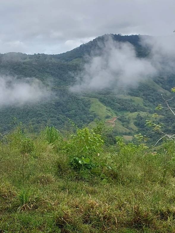 WhatsApp-Image-2023-05-08-at-10.41.23