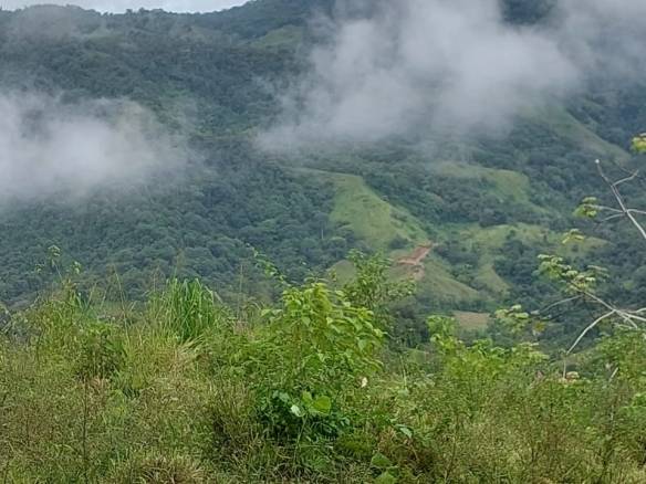 WhatsApp-Image-2023-05-08-at-10.41.23