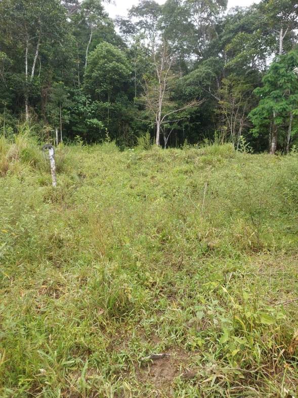 WhatsApp-Image-2023-05-08-at-10.41.26