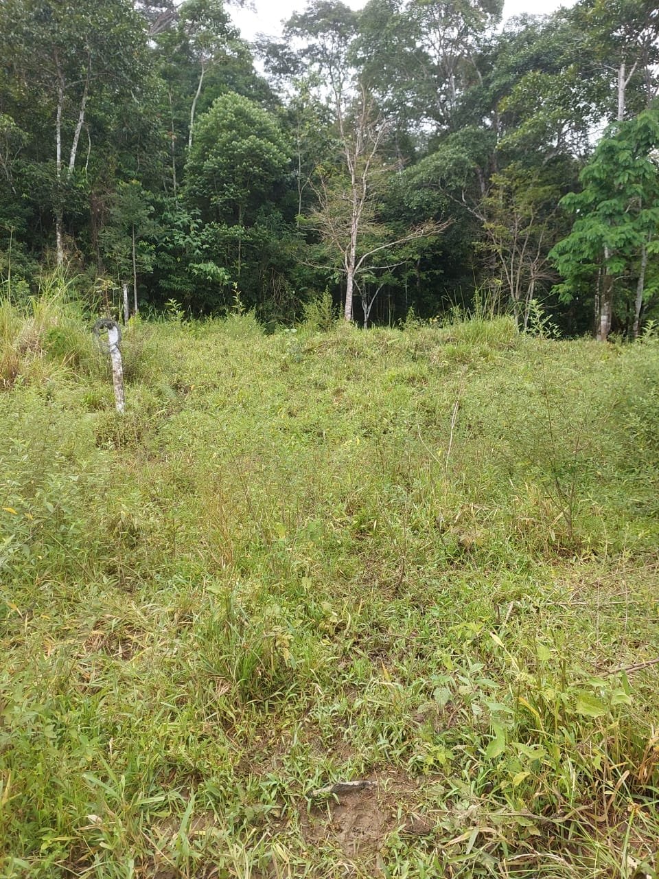 WhatsApp-Image-2023-05-08-at-10.41.26