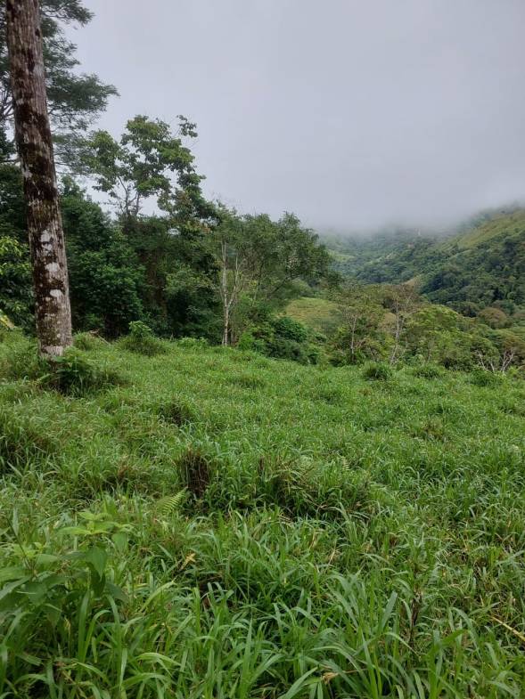 WhatsApp-Image-2023-05-08-at-10.41.34