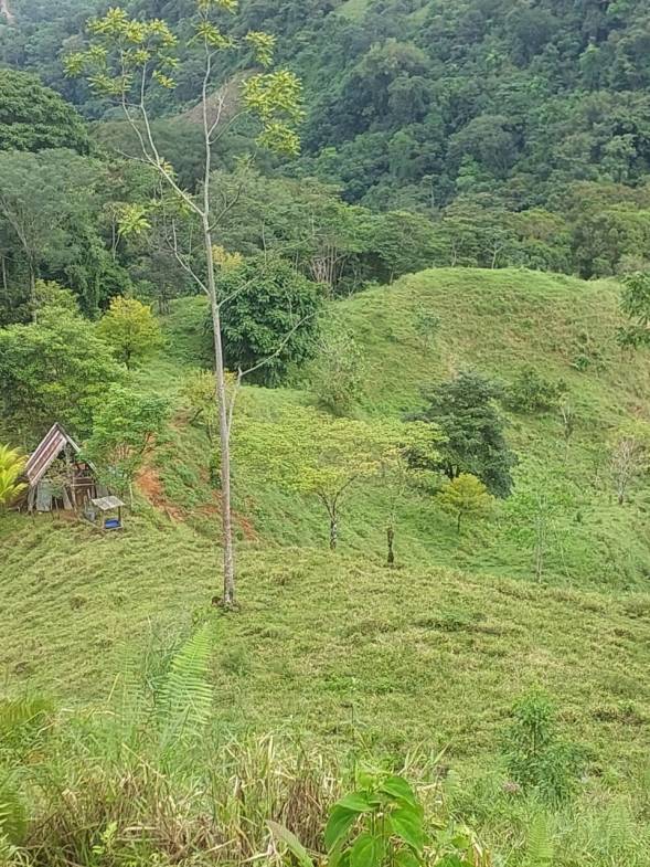 WhatsApp-Image-2023-05-08-at-10.41.36