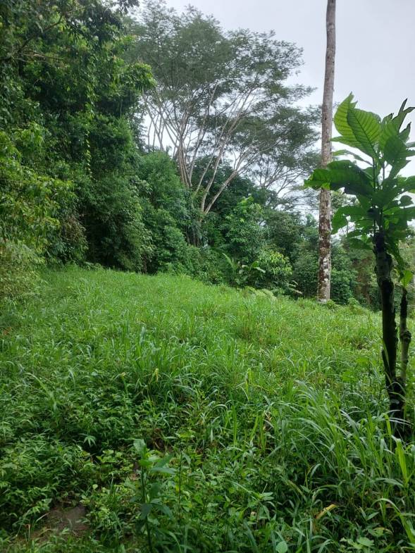 WhatsApp-Image-2023-05-08-at-10.41.38