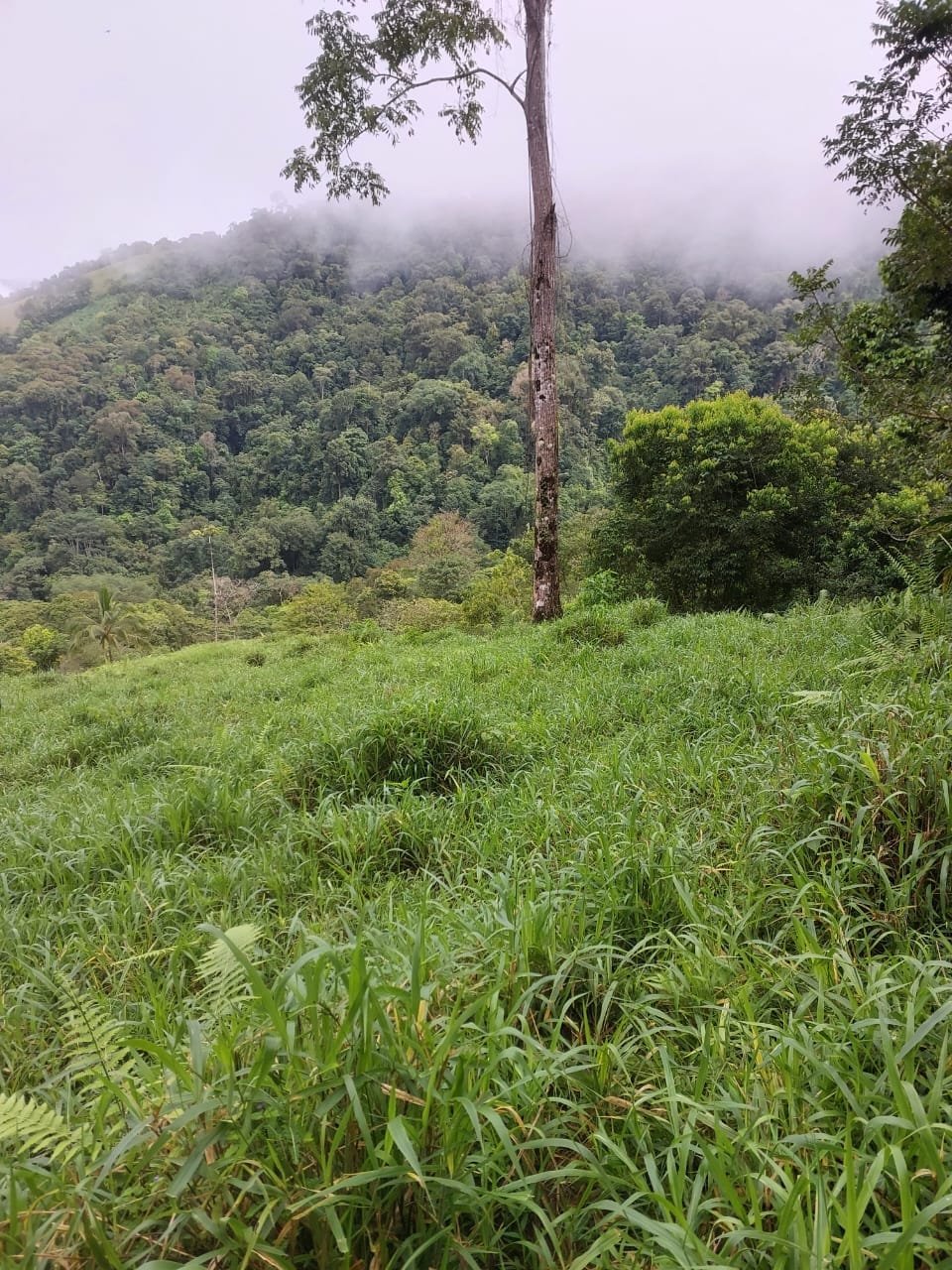 WhatsApp-Image-2023-05-08-at-10.41.44