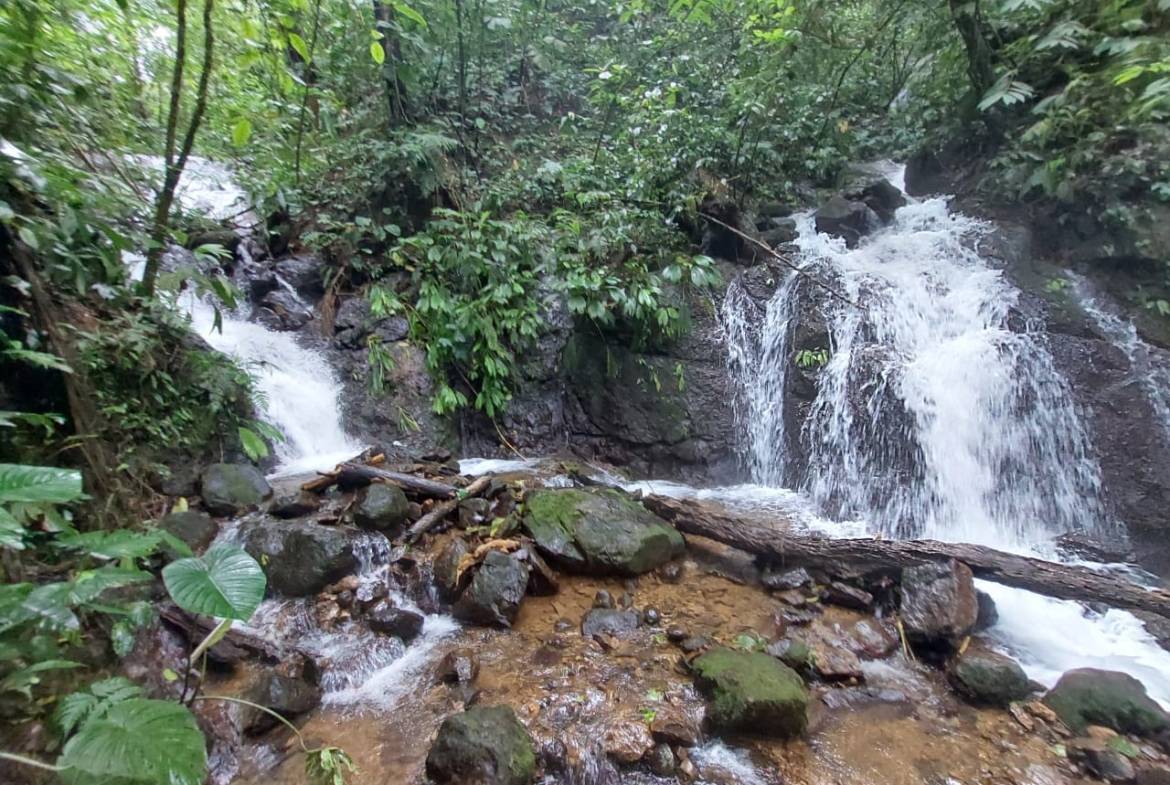 WhatsApp-Image-2023-05-08-at-10.41.52