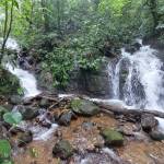 WhatsApp-Image-2023-05-08-at-10.41.52