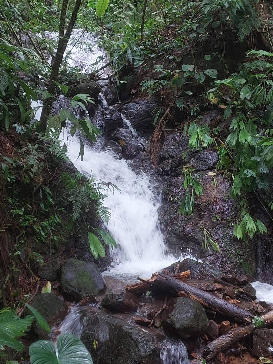 WhatsApp-Image-2023-05-08-at-10.42.05-1