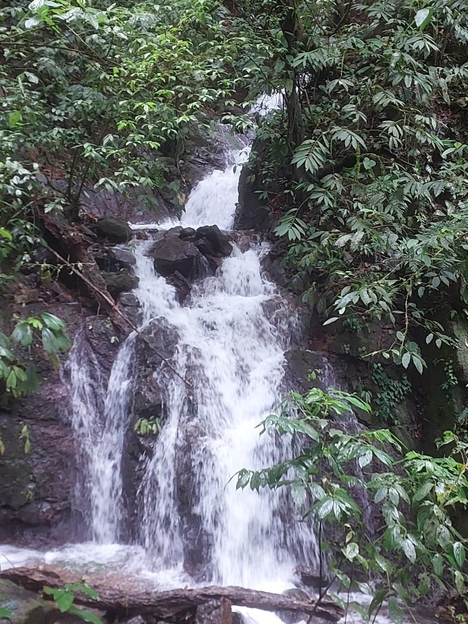 WhatsApp-Image-2023-05-08-at-10.42.05