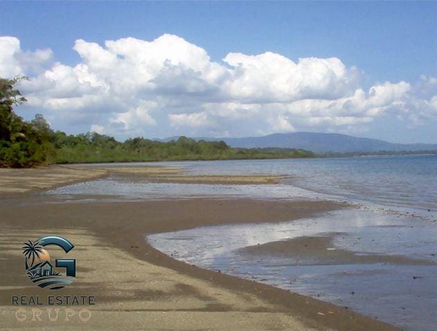 WhatsApp Image 2024-01-30 at 06.04.09 (1)