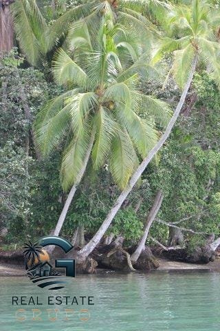 WhatsApp Image 2024-01-30 at 06.04.11