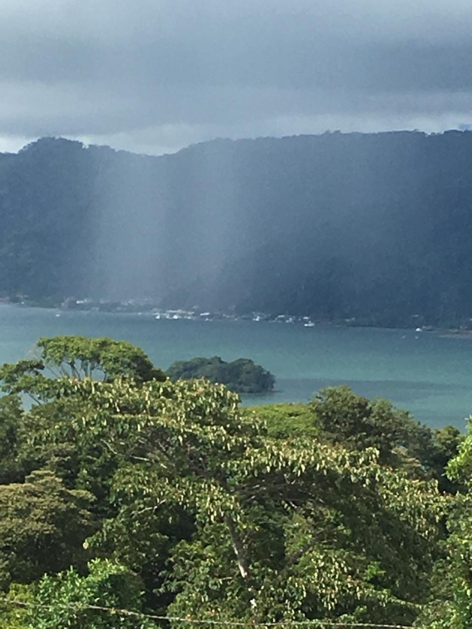 cc7cde40-6005-4a6a-86e5-19d208959baa