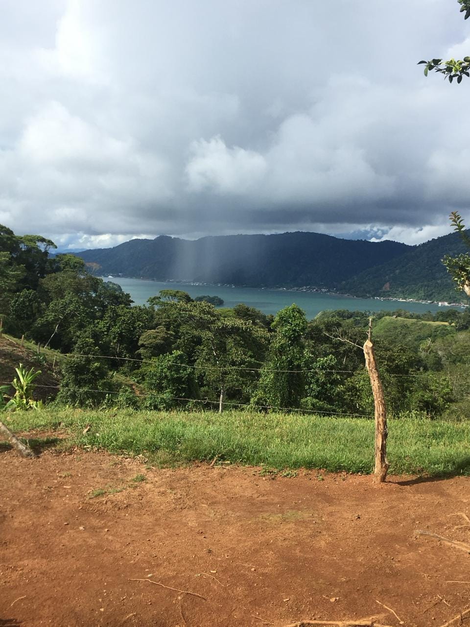 f889cb52-bc23-4128-96bf-43b1231d2950 (1)