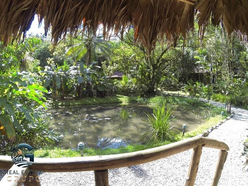 garden_pond_cabins (Copiar)