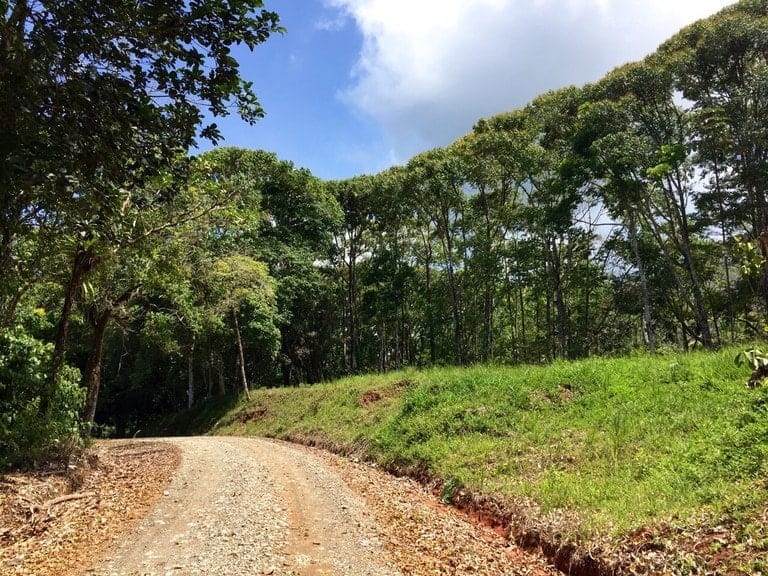 ll1500072_img-10_large-min