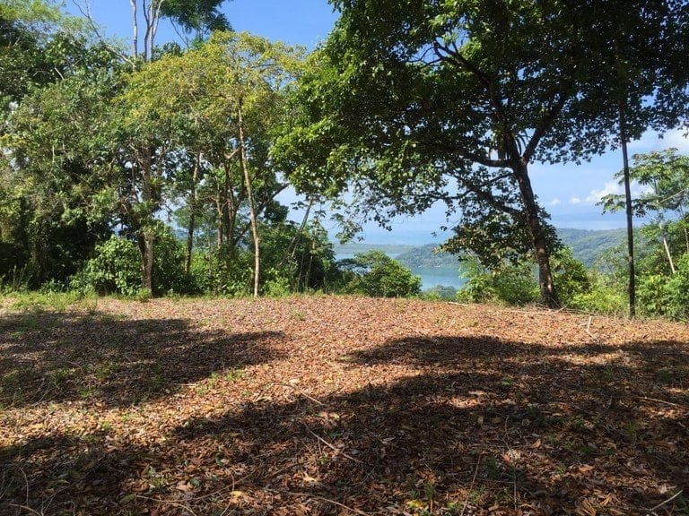 ll1500072_img-11_large-min