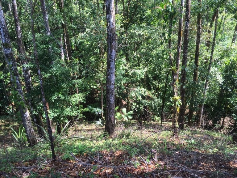 ll1500072_img-12_large-min