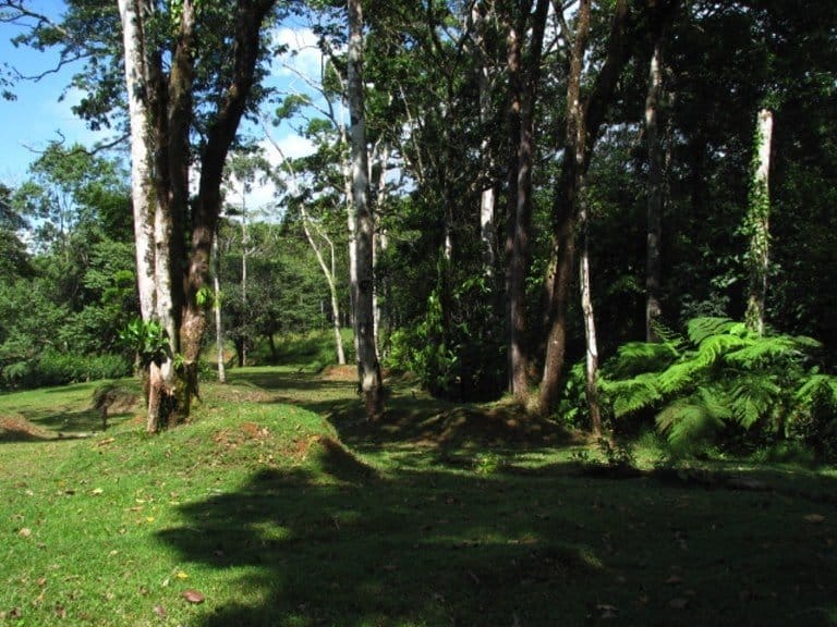 ll1500072_img-4_large-min