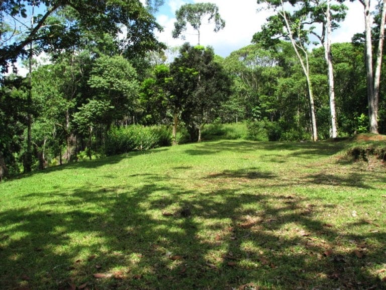 ll1500072_img-5_large-min