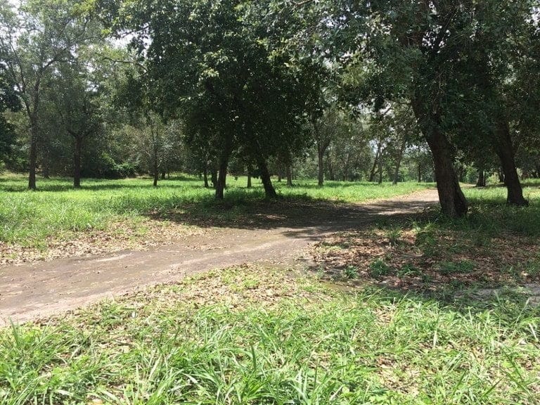 ll1600262_img-10_large-min