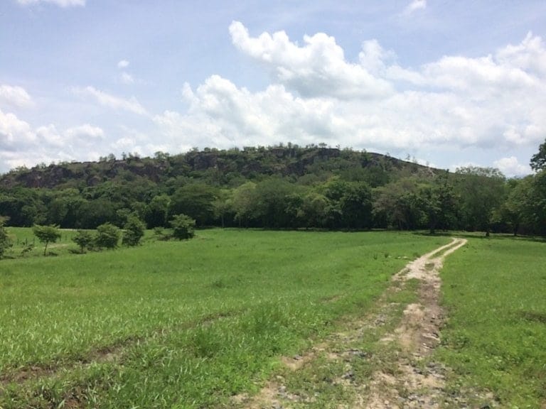 ll1600262_img-11_large-min