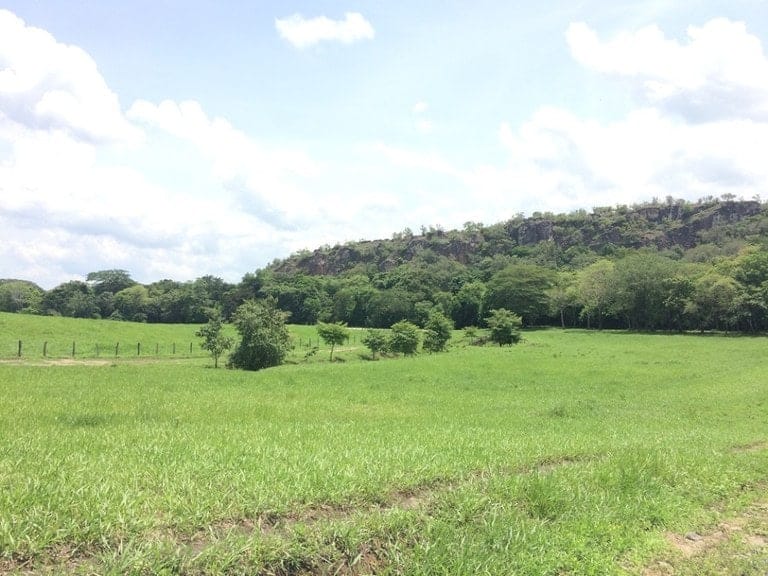 ll1600262_img-12_large-min