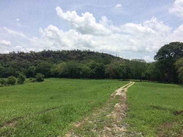 ll1600262_img-13_large-min