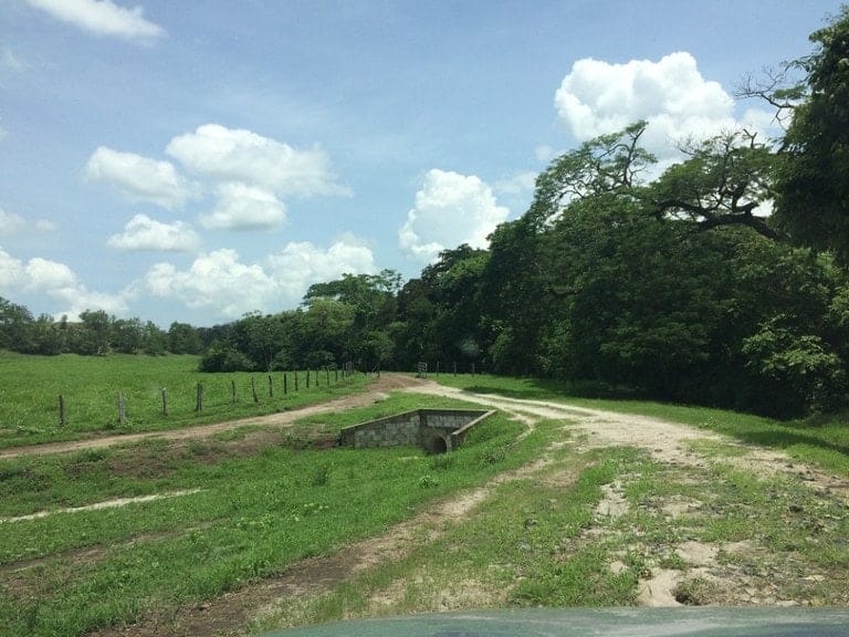 ll1600262_img-14_large-min