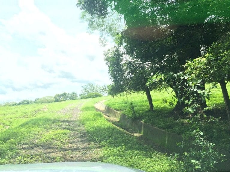 ll1600262_img-15_large-min