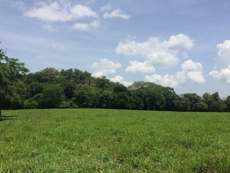 ll1600262_img-16_large-min