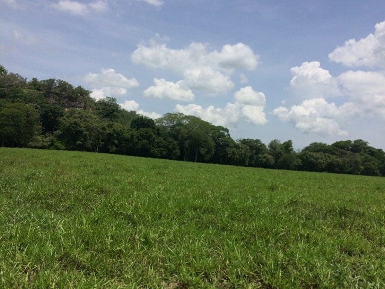 ll1600262_img-17_large-min