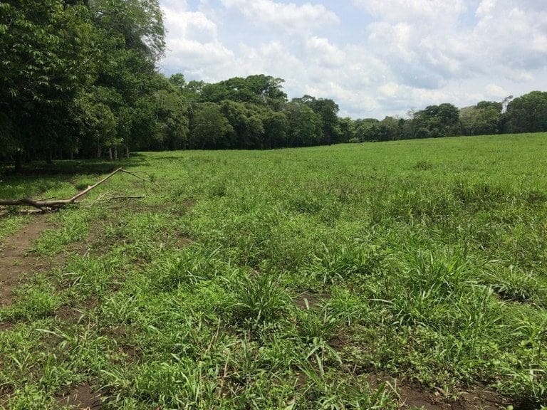 ll1600262_img-18_large-min