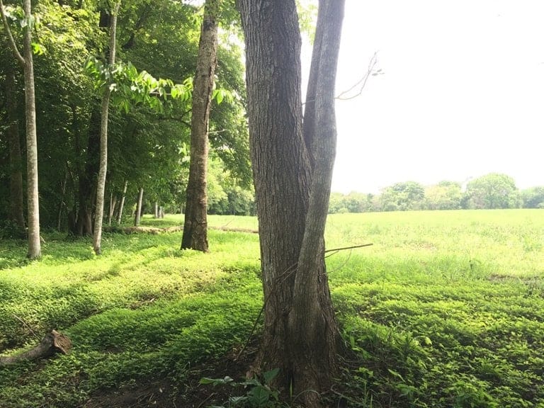 ll1600262_img-19_large-min