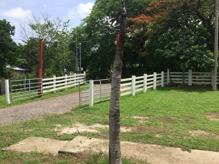 ll1600262_img-22_large-min