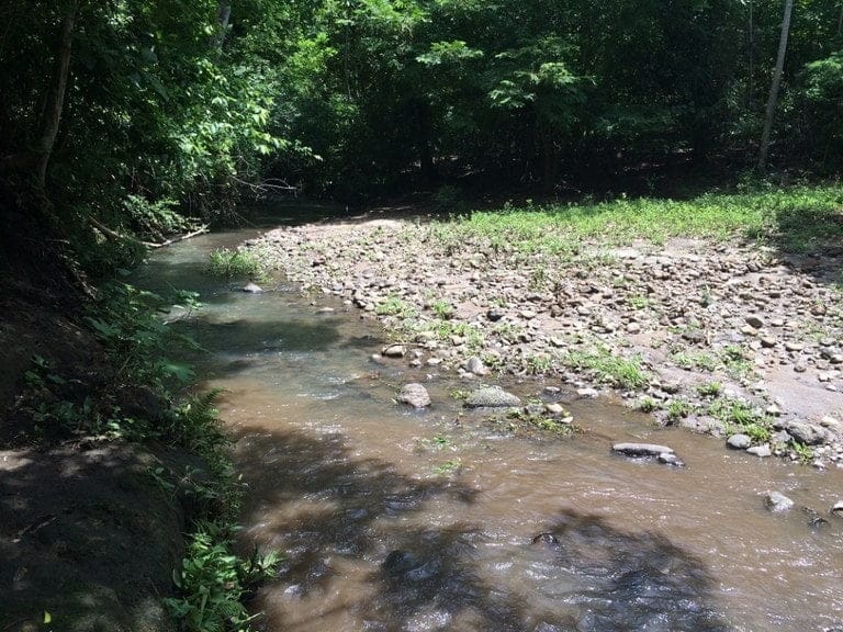 ll1600262_img-3_large-min