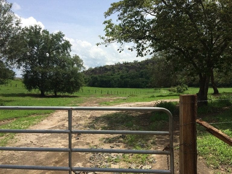 ll1600262_img-4_large-min