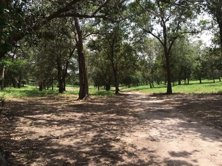 ll1600262_img-5_large-min