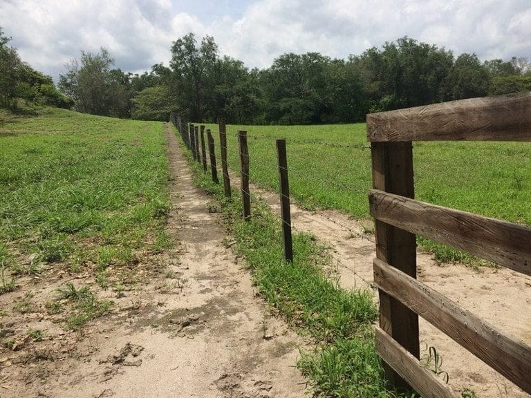 ll1600262_img-6_large-min