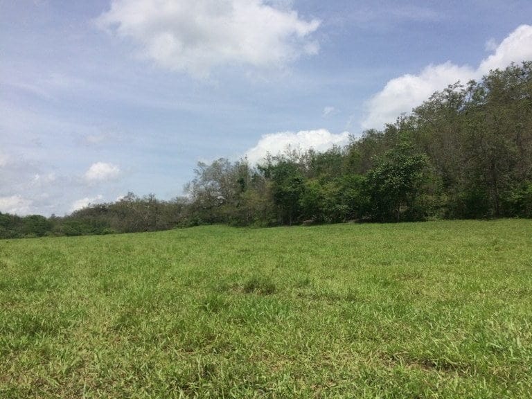 ll1600262_img-7_large-min