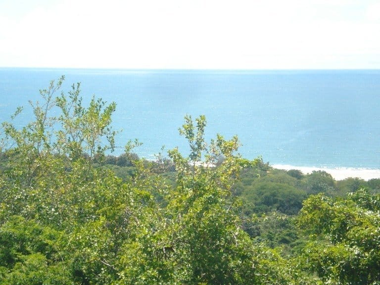 ll1600354_img-3_large-min