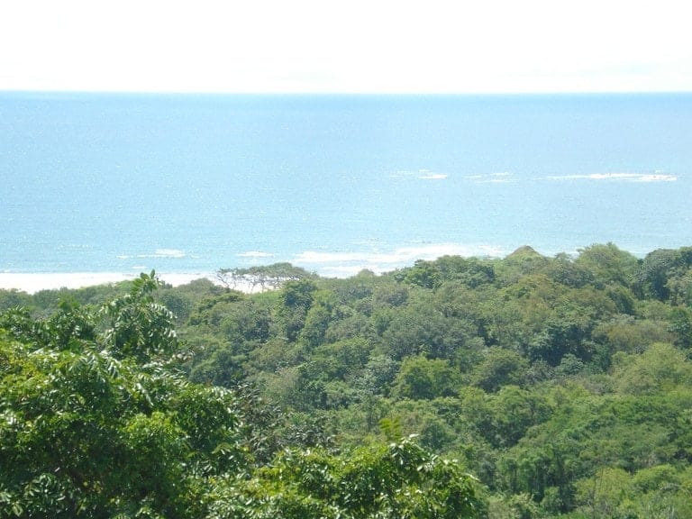 ll1600354_img-4_large-min