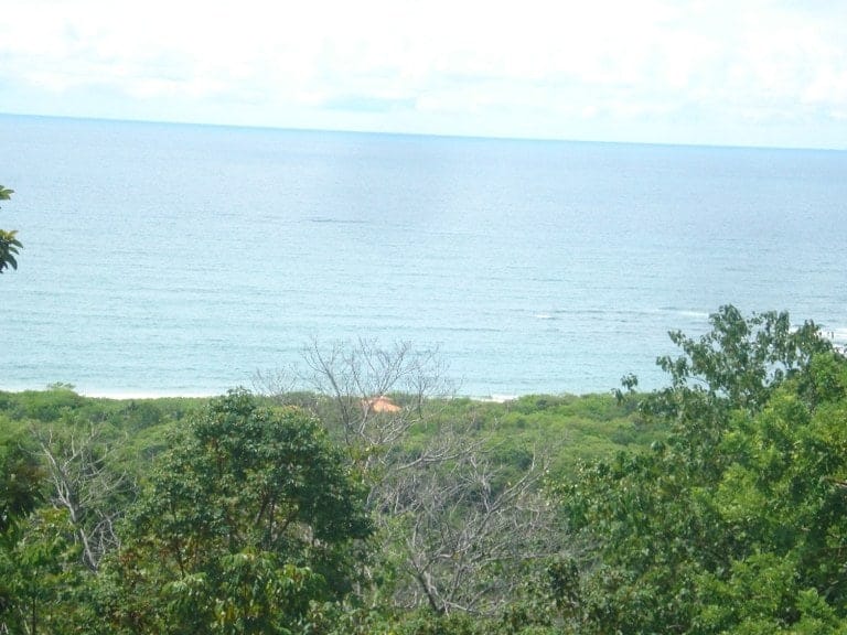 ll1600354_img-5_large-min