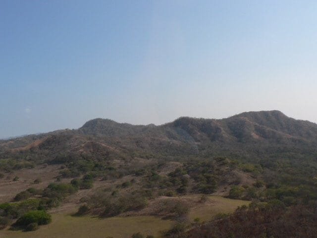 ll1600355_img-11_large-min