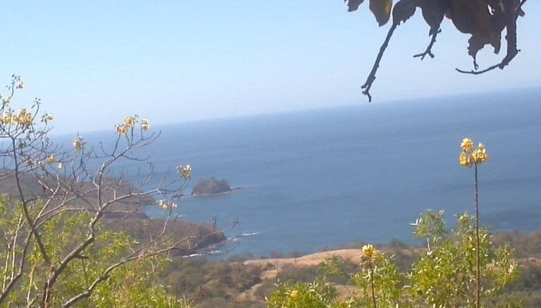 ll1600355_img-13_large (1)-min