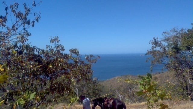 ll1600355_img-2_large-min