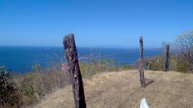 ll1600355_img-4_large-min