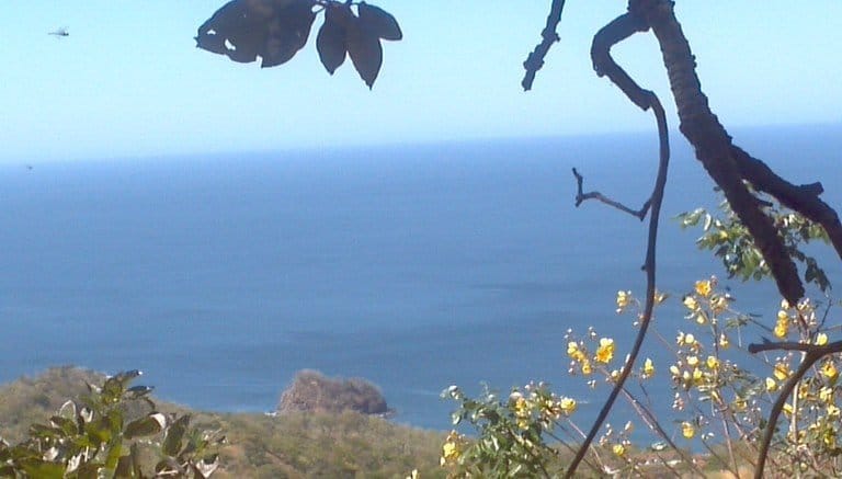 ll1600355_img_large-min