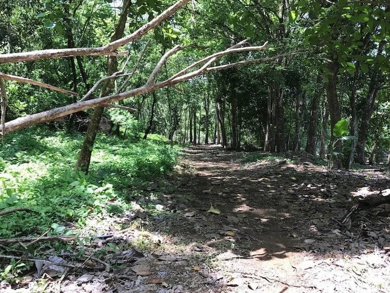 ll1700087_img-10_large-min