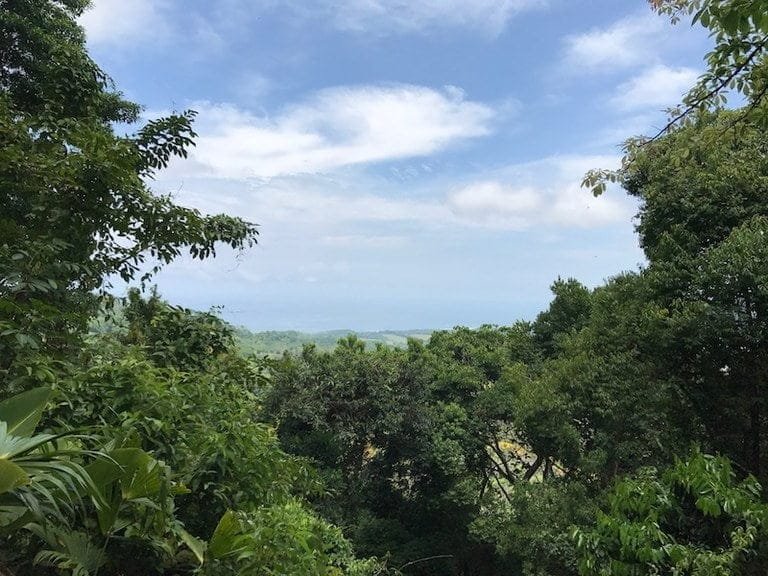 ll1700087_img-11_large-min